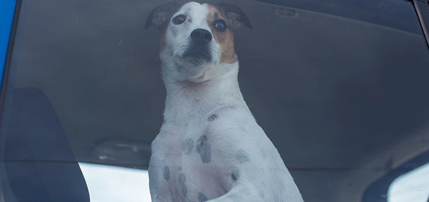 Car Lockout Solutions in Pittsburg, California